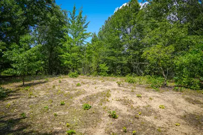 V/L W Adams Road, Pentwater, MI 49449 - Photo 7