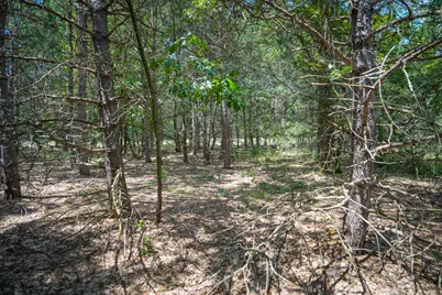 V/L W Adams Road, Pentwater, MI 49449 - Photo 13