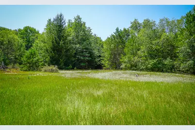 V/L W Adams Road, Pentwater, MI 49449 - Photo 5