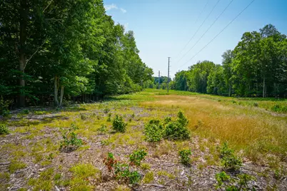 V/L W Adams Road, Pentwater, MI 49449 - Photo 19
