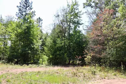 001 E Greenwood Road, Prescott, MI 48756 - Photo 11