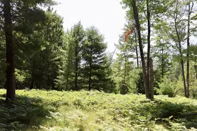 001 E Greenwood Road, Prescott, MI 48756 - Photo 13