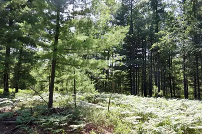 001 E Greenwood Road, Prescott, MI 48756 - Photo 19
