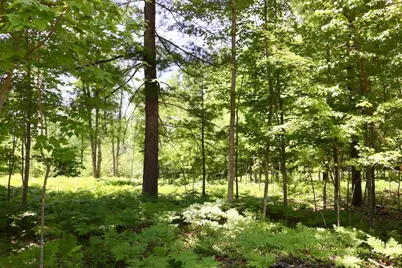 001 E Greenwood Road, Prescott, MI 48756 - Photo 17