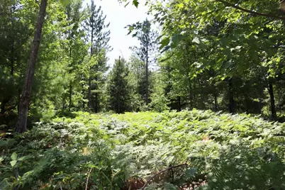 001 E Greenwood Road, Prescott, MI 48756 - Photo 5