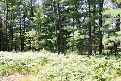 001 E Greenwood Road, Prescott, MI 48756 - Photo 21