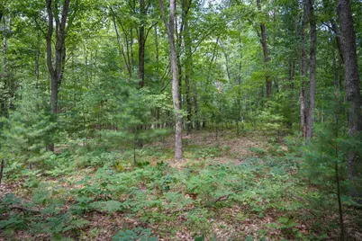 V/L S 184th Ave, Holton, MI 49425 - Photo 9