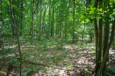 V/L S 184th Ave, Holton, MI 49425 - Photo 11