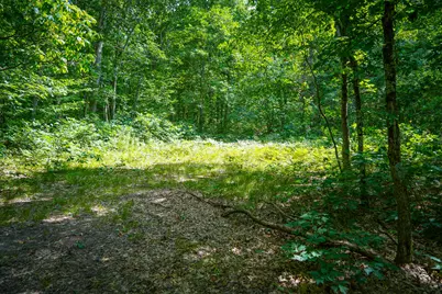 V/L S 184th Ave, Holton, MI 49425 - Photo 5