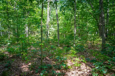 V/L S 184th Ave, Holton, MI 49425 - Photo 15