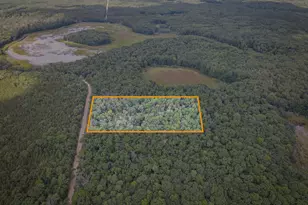 V/L S 184th Ave, Holton, MI 49425 - Photo 1