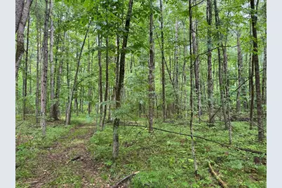 Pinecrest Drive, Gladwin, MI 48624 - Photo 25