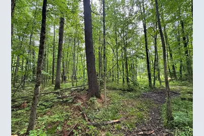 Pinecrest Drive, Gladwin, MI 48624 - Photo 7