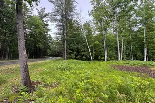 Pinecrest Dr, Gladwin, MI 48624 - Photo 1