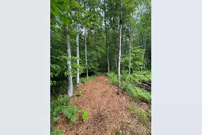 Pinecrest Drive, Gladwin, MI 48624 - Photo 5