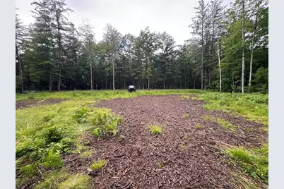 Pinecrest Drive, Gladwin, MI 48624 - Photo 13