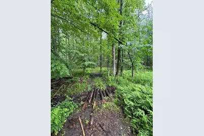 Pinecrest Drive, Gladwin, MI 48624 - Photo 23
