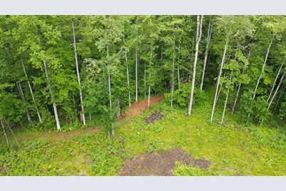Pinecrest Drive, Gladwin, MI 48624 - Photo 9