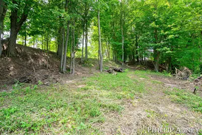 12842 W Hillis Road, Trufant, MI 49347 - Photo 27