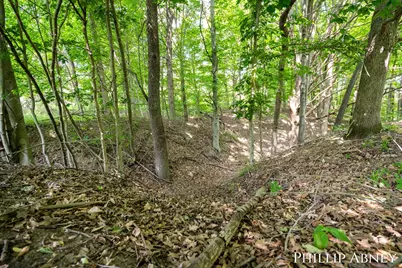 12842 W Hillis Road, Trufant, MI 49347 - Photo 43