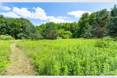12842 W Hillis Road, Trufant, MI 49347 - Photo 41