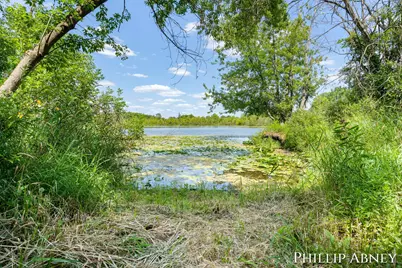 12842 W Hillis Road, Trufant, MI 49347 - Photo 1