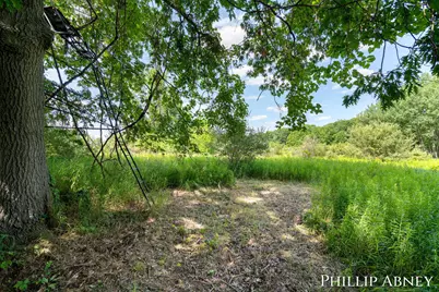 12842 W Hillis Road, Trufant, MI 49347 - Photo 45