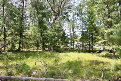 002 E Greenwood Road, Prescott, MI 48756 - Photo 11