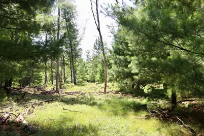002 E Greenwood Road, Prescott, MI 48756 - Photo 9