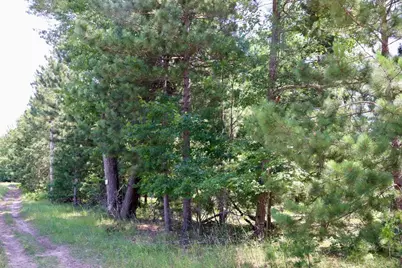 002 E Greenwood Road, Prescott, MI 48756 - Photo 7