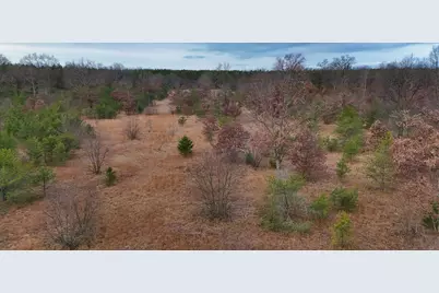 3728 N Custer Road, Manistee, MI 49660 - Photo 1