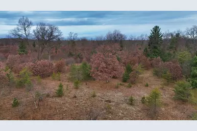 3728 N Custer Road, Manistee, MI 49660 - Photo 17