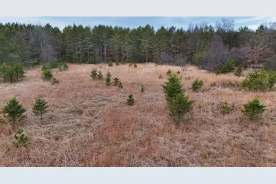 3728 N Custer Road, Manistee, MI 49660 - Photo 21