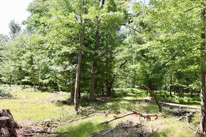 003 E Greenwood Road, Prescott, MI 48756 - Photo 13