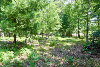 003 E Greenwood Road, Prescott, MI 48756 - Photo 7