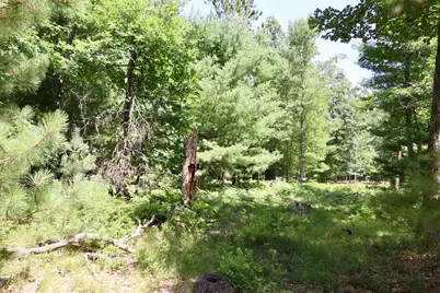 003 E Greenwood Road, Prescott, MI 48756 - Photo 9