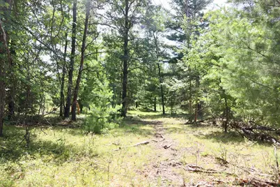 003 E Greenwood Road, Prescott, MI 48756 - Photo 5