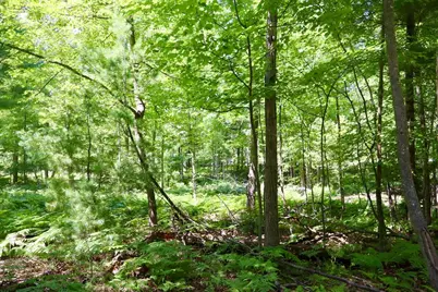 003 E Greenwood Road, Prescott, MI 48756 - Photo 15