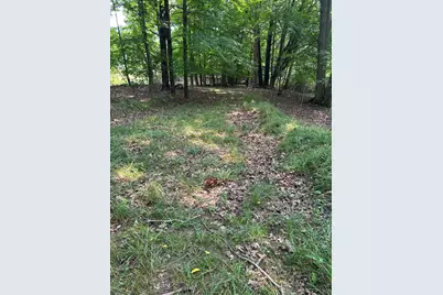 V/L Longbridge East Parcel 11, Pentwater, MI 49449 - Photo 3