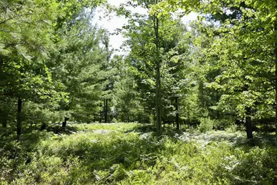 01 Down To Earth Way, Prescott, MI 48756 - Photo 3