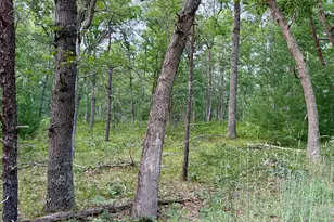 2A Steinberg Rd, Manistee, MI 49660 - Photo 1