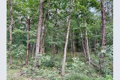 2A Steinberg Road, Manistee, MI 49660 - Photo 3