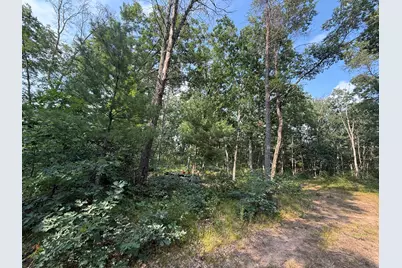 2668 W Moonflower, Baldwin, MI 49304 - Photo 3