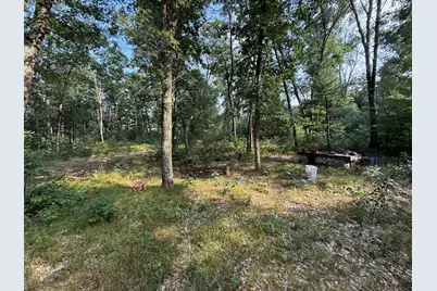 2668 W Moonflower, Baldwin, MI 49304 - Photo 9