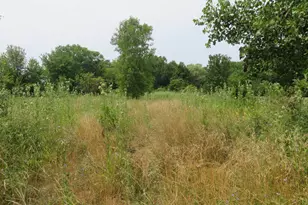11000 Morton Taylor Rd, Belleville, MI 48111 - Photo 17