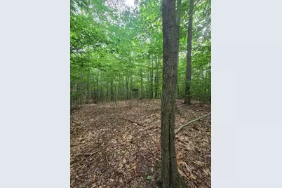 14739 9 Mile Road, Reed City, MI 49677 - Photo 29
