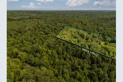 14739 9 Mile Road, Reed City, MI 49677 - Photo 41