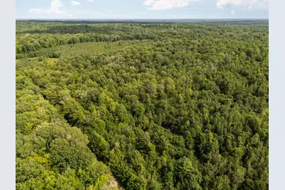 14739 9 Mile Road, Reed City, MI 49677 - Photo 65