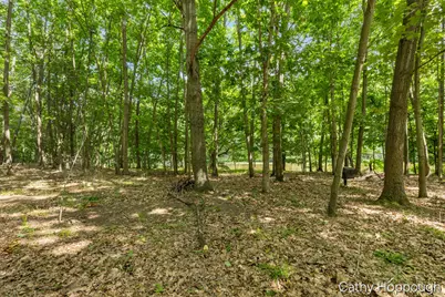 8687 River Run Trail, Greenville, MI 48838 - Photo 69