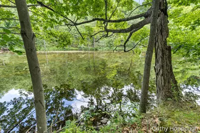 8687 River Run Trail, Greenville, MI 48838 - Photo 73
